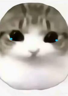 恋爱时长限额？这破爱爱谁谁！封面