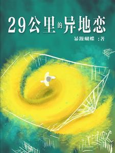 29公里异地恋封面