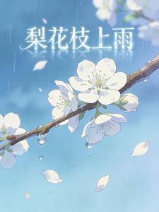 梨花枝上雨封面