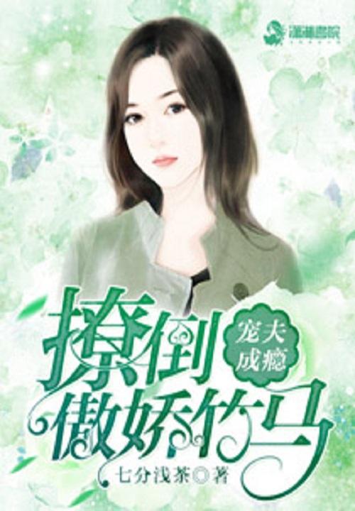 宠夫成瘾方外懒人封面