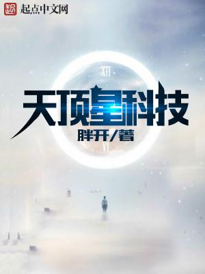 天顶星科技封面