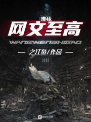 网文唯我至高封面