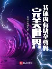 完美世界：我体内有块至尊骨封面