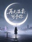 再无温柔可予你封面
