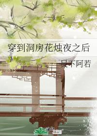 穿到洞房花烛夜之后封面
