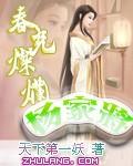 春光灿烂杨家将封面