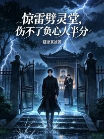 《惊雷劈灵堂，伤不了负心人半分》封面
