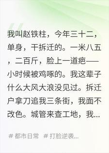 公厕旁的椅子上，我捡了个儿子封面