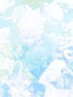 烟火散尽,再无青梅封面