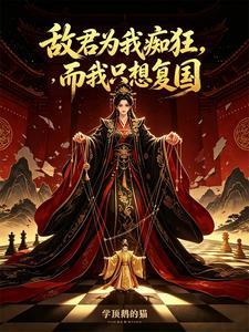 敌君为我痴狂，而我只想复国封面