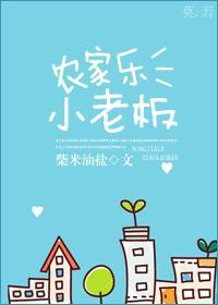 农家乐小老板封面