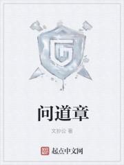 问道章封面
