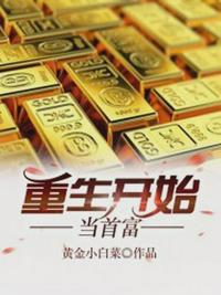 重生开始当首富叶小文沈金浩封面
