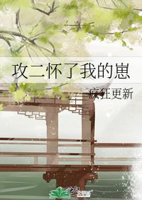 攻二怀了我的崽封面