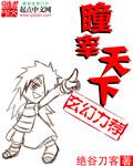 瞳宰天下封面