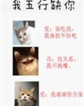我五行缺你封面
