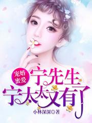 林暖宁时御封面