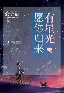 愿你归来有星光封面
