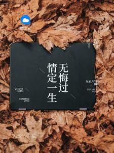 沈蔓歌叶南弦封面