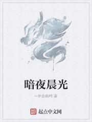 暗夜晨光封面