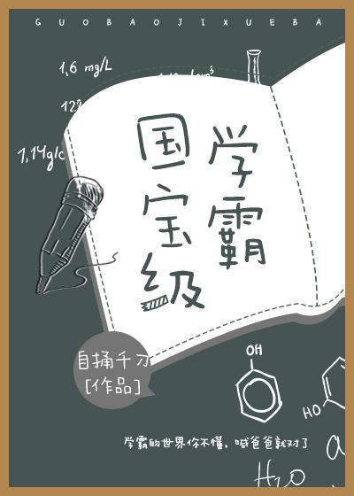 国宝级学霸封面