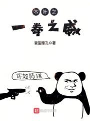 木叶之一拳之威封面