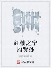 红楼之宁府贤孙封面