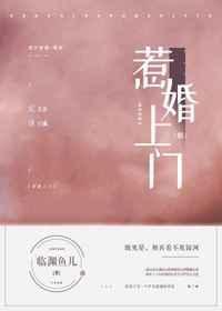 惹婚上门封面