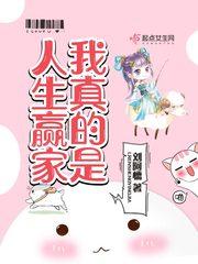 我真的是人生赢家封面