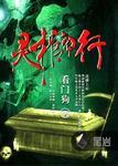 灵棺夜行封面