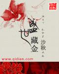 盛世藏金封面