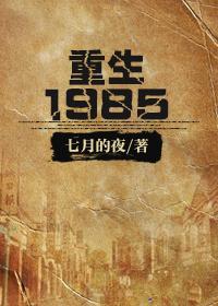 重生1985封面