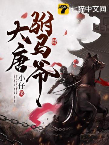 大唐驸马爷封面