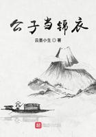 公子当锦衣封面