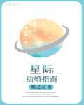 星际结婚指南封面