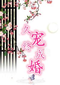 久宠终成婚封面