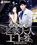 神探悍妻之老婆大人上上签封面