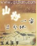 山村一亩三分地封面