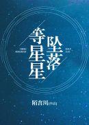 等星星坠落封面