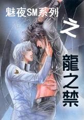 魅夜SM系列之龙之禁封面