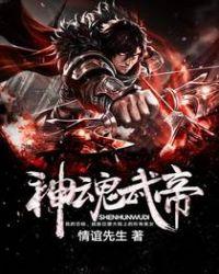 神魂武帝封面