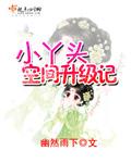 小丫头空间升级记封面