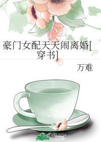 豪门女配天天闹离婚[穿书]封面
