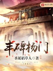 丰碑杨门封面