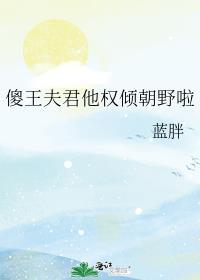 傻王夫君他权倾朝野啦封面