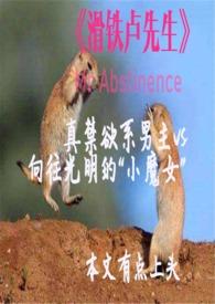 滑铁卢先生(ai)封面