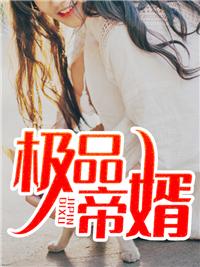 段擎苍宁惜月封面
