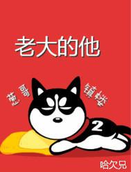 老大的他封面