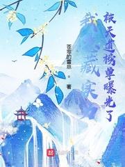 我隐藏实力被天道榜单曝光了封面
