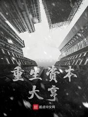 重生资本大亨封面